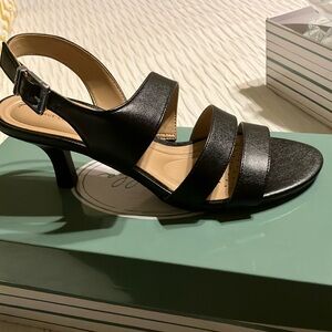 Women’s Black shoes